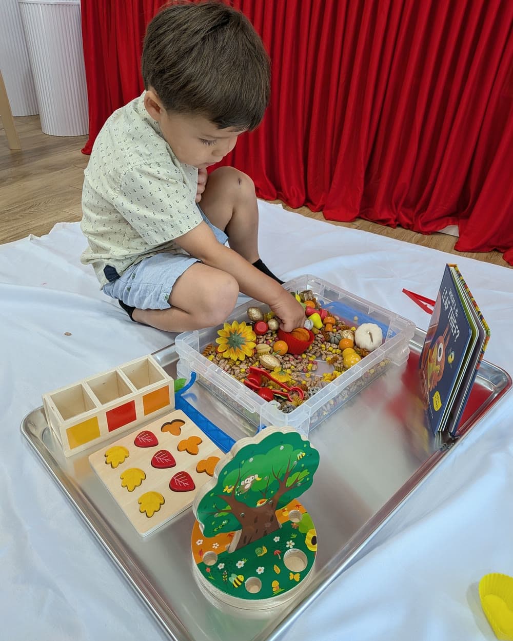 A boy sorts wooden leaves and fruit from a sensory bin next to a leaf puzzle and a picture book