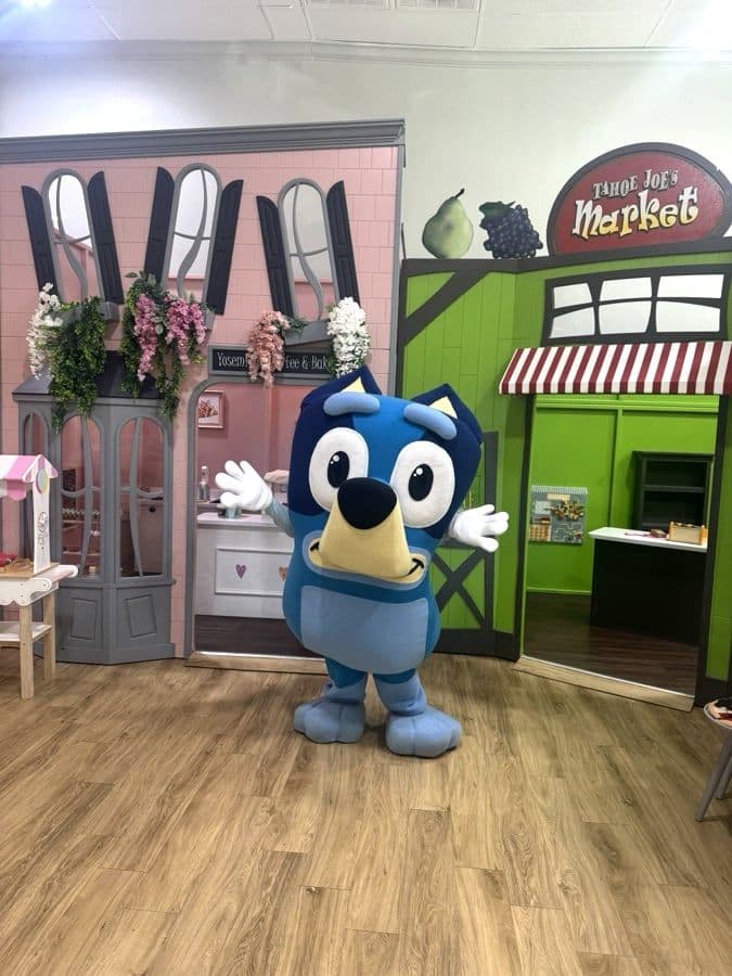 30 Minute Bluey or Bingo Visit